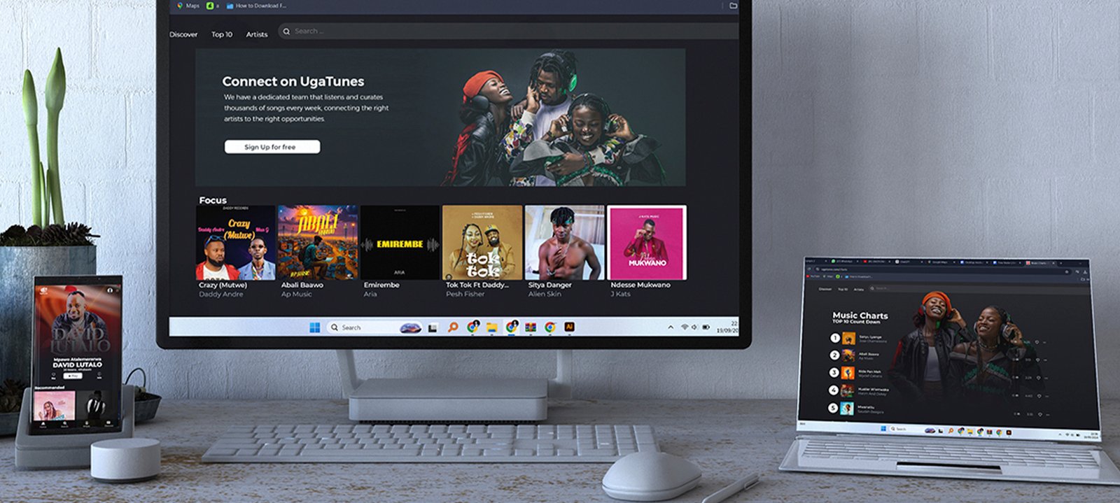 Website Design & Development